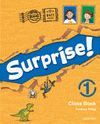 SURPRISE 3 ACTIVITY BOOK