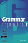 GRAMMAR IN PRACTICE 1