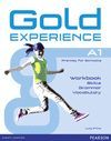 GOLD EXPERIENCE LANGUAGE AND SKILLS WORKBOOK A2