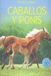 CABALLOS Y PONIES