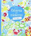 COLOREA POR NUMEROS 2