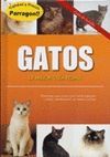 GATOS:MEJOR GUIA FELINA