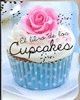 LIBRO DE LOS CUPCAKES