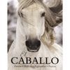 EL CABALLO, PASION, BELLEZA, ESPLENDOR, FUERZ