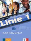 LINIE 1. KURS- UND ÜBUNGSBUCH A1.1, M. MIT DVD-ROM