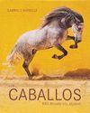 LOS CABALLOS MAS BELOS DEL MUNDO