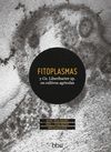 FITOPLASMAS