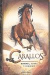 CABALLOS