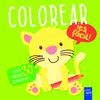 COLOREAR IES FACIL! TIGRE