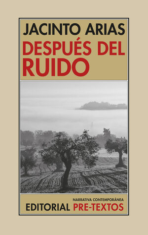 DESPUÈS DEL RUIDO