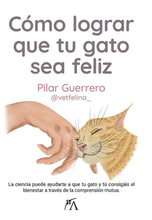 CÓMO LOGRAR QUE TU GATO SEA FELIZ