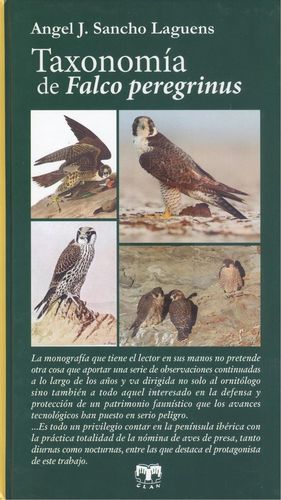 TAXONOMÍA DE FALCO PEREGRINUS