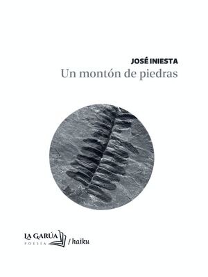 UN MONTÓN DE PIEDRAS