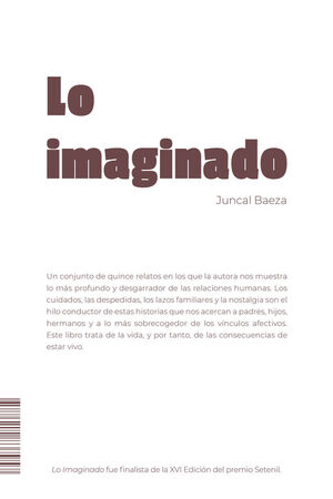 LO IMAGINADO