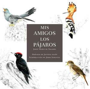 MIS AMIGOS LOS PAJAROS