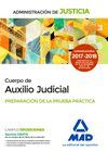 AUXILIO JUDICIAL PREPARACIÓN DE LA PRUEBA PRACTICA