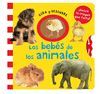 RUEDAS MAGICAS BEBE ANIMALES