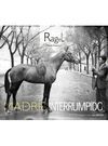 RAGEL. MADRID INTERRUMPIDO