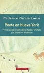 POETA EN NUEVA YORK- RÚSTICA