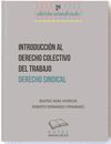 INTRODUCCIÓN AL DERECHO COLECTIVO DEL TRABAJO. DERECHO SINDICAL. 2ª ED.