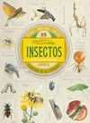 COLECCIÓN DE CURIOSIDADES. INSECTOS