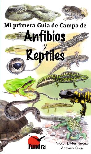 MI PRIMERA GUÍA DE CAMPO DE ANFIBIOS Y REPTILES