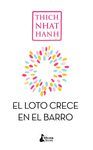 SIN BARRO NO CRECE EL LOTO