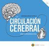 LA CIRCULACION CEREBRAL.