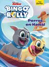 BINGO Y ROLLY. CUENTO. PERROS EN HAWAI