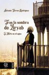 TRAS LA SOMBRA DE ZIRYAB