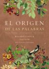 EL ORIGEN DE LAS PALABRAS NE