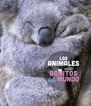 LOS ANIMALES MÁS BONITOS DEL MUNDO