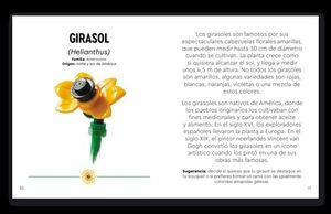 FLORES SILVESTRES