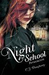 NIGHT SCHOOL III. PERSECUCION