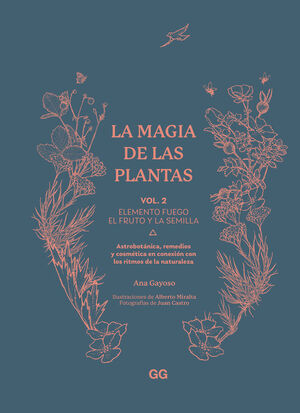 MAGIA DE LAS PLANTAS:ELEMENTO FUEGO/EL FRUTO Y LA SEMILLA