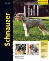 SCHNAUZER - EXCELLENCE