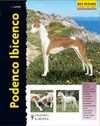 PODENCO IBICENCO - EXCELLENCE