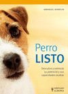 PERRO LISTO