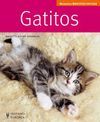 GATITOS (MASCOTAS EN CASA)