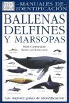 BALLENAS, DELFINES Y MARSOPAS