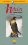 EL HALCON PEREGRINO