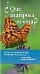 ¿QUE MARIPOSA ES ESTA?