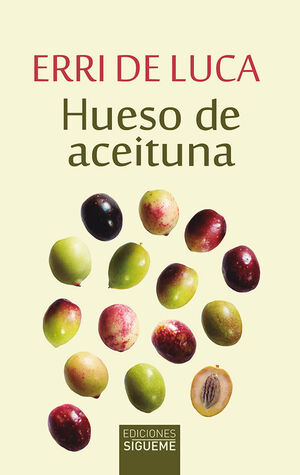 HUESO DE ACEITUNA