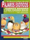 PAJAROS EXOTICOS - DIAMANTE MA