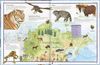 ATLAS DE LOS ANIMALES