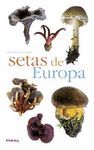 SETAS DE ESPAÑA Y DE EUROPA