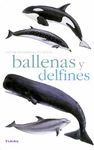 BALLENAS Y DELFINES