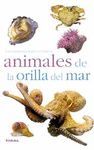 ANIMALES DE LA ORILLA DEL MAR