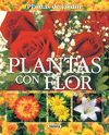 PLANTAS CON FLOR   (PLANTAS JA