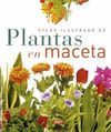 ATLAS ILUSTRADO DE PLANTAS EN MACETA